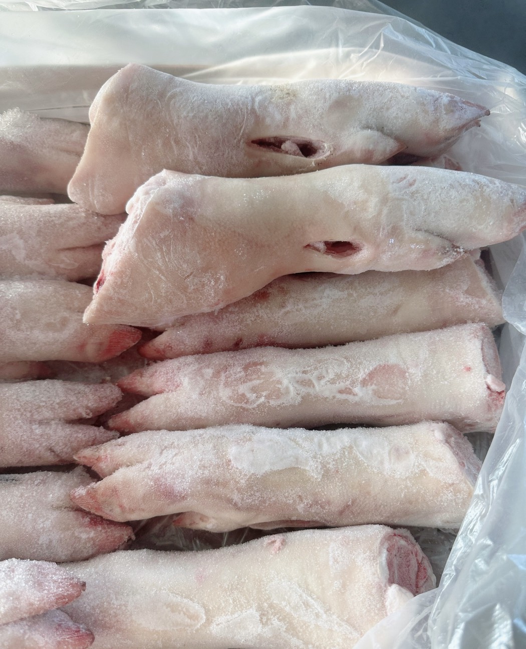 Dựng heo sau Danish Crown