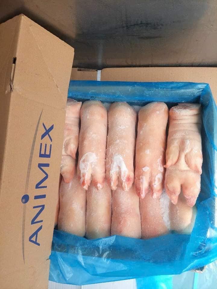 Dựng heo trước Animex K4