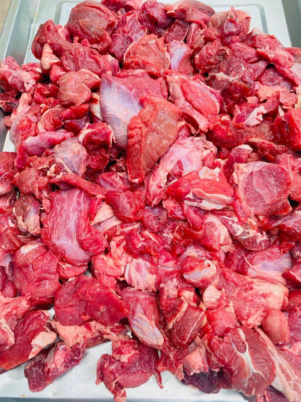 Gầu trâu Ấn Độ MS61