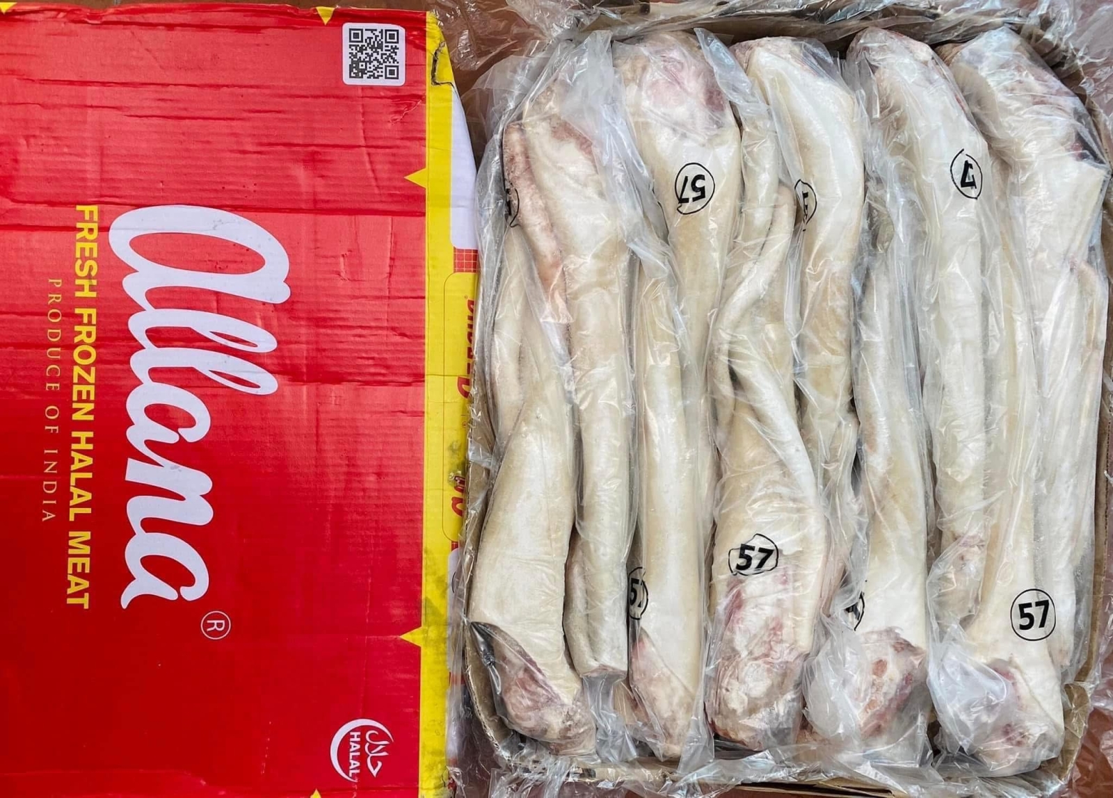 Đuôi trâu Ấn Độ Allana M57