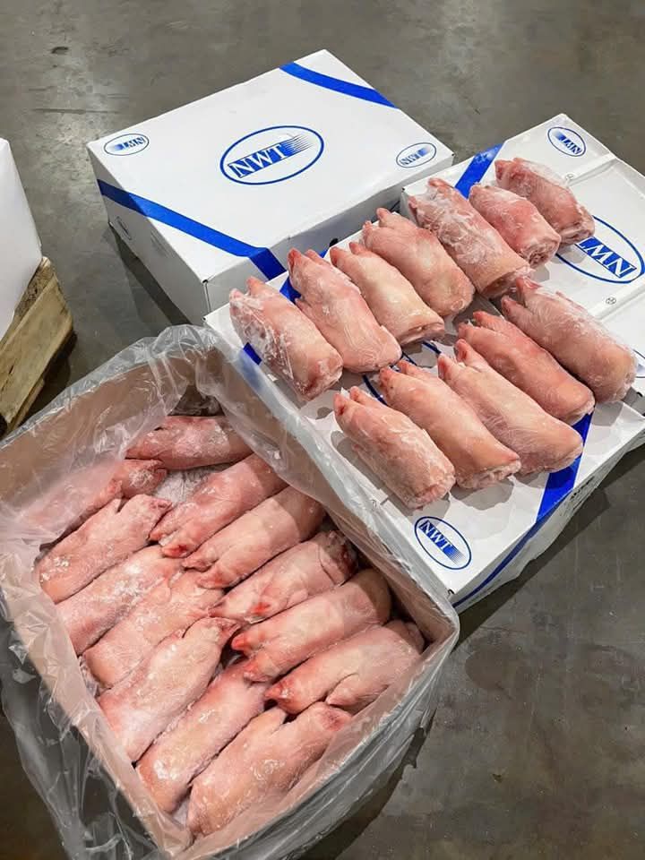 Dựng heo trước NWT