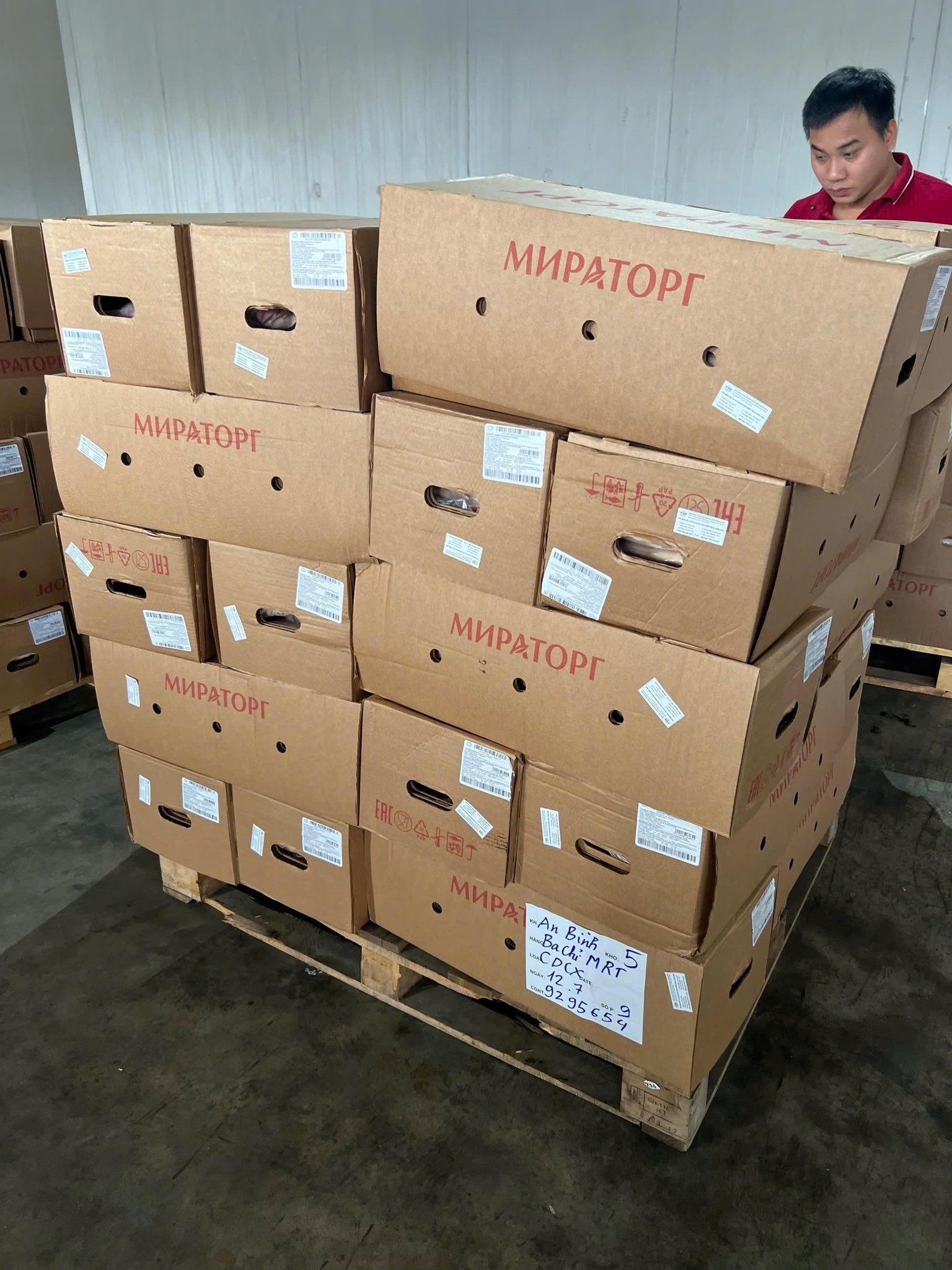 Thịt Heo Đông Lạnh Tại Kiên Giang