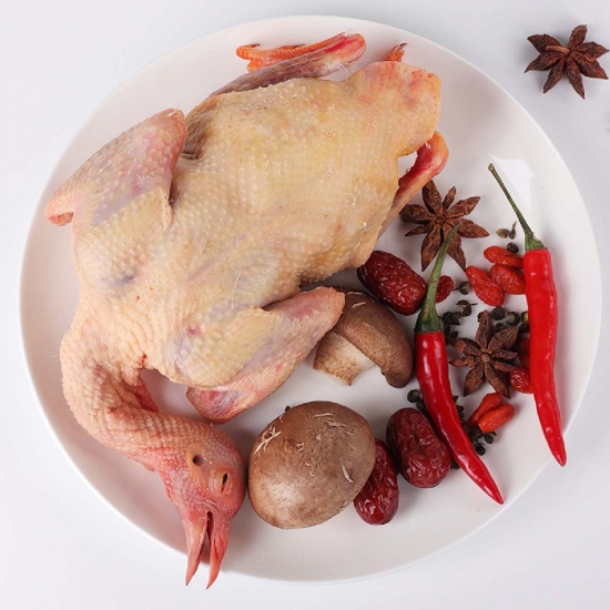 địa chỉ bán bồ câu thịt Thành Phố Thủ Đức