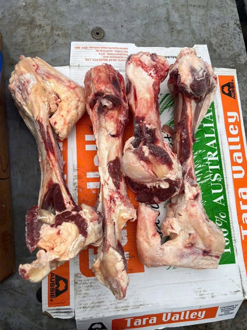 Xương ống bò Tara Valley