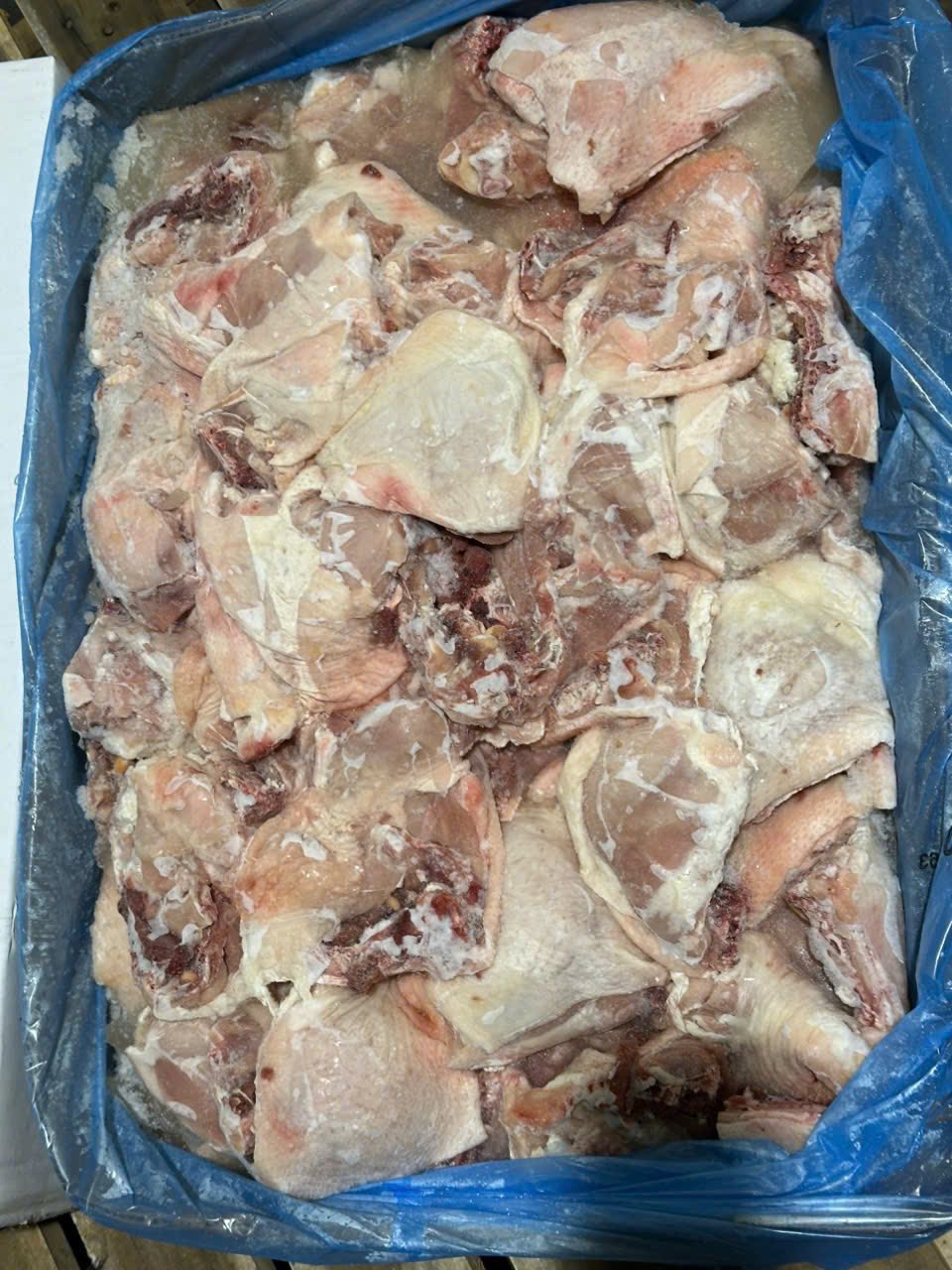 Má gà Pilgrim 20kg