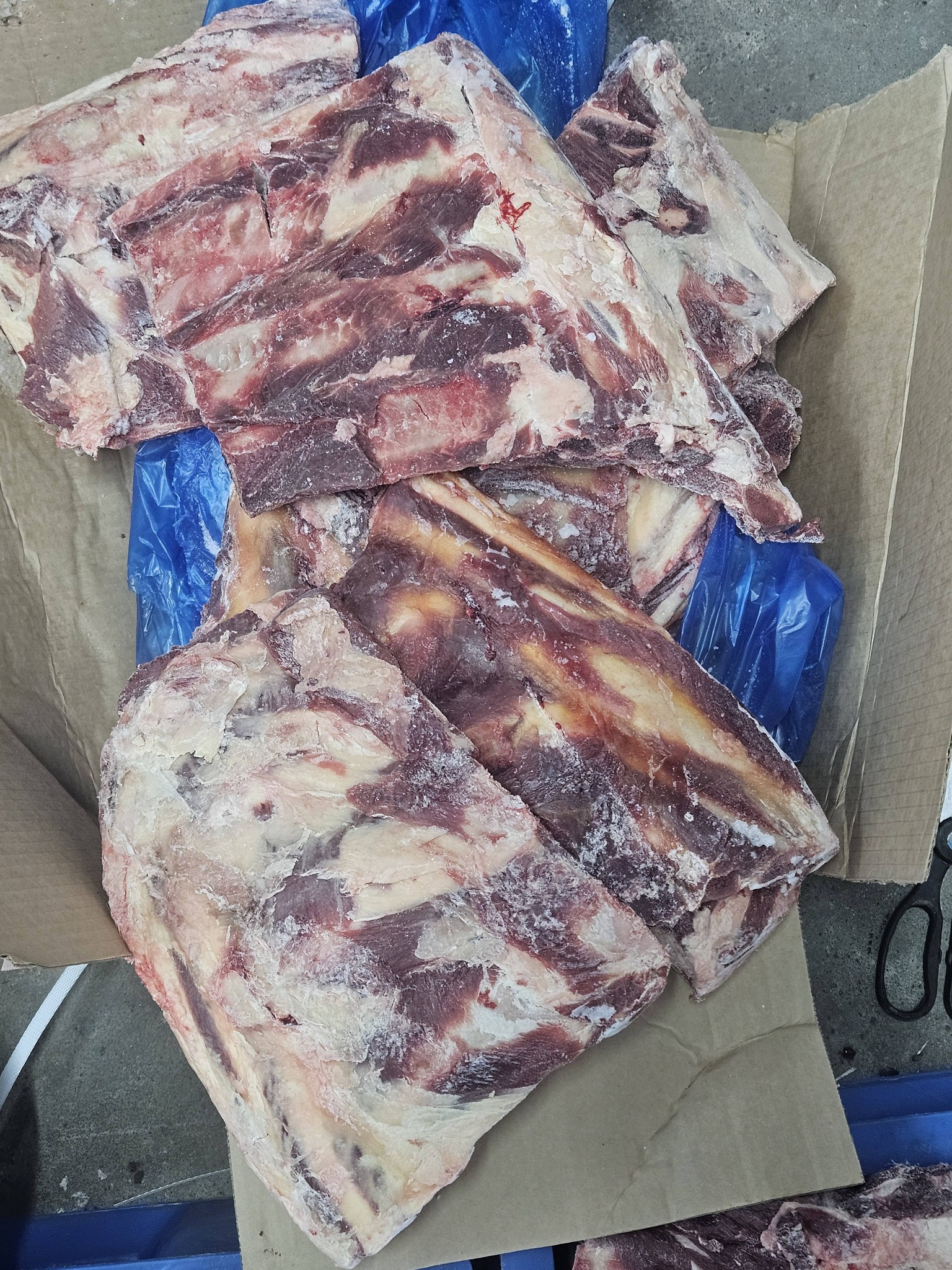 Tổng Kho Thịt Heo Bò Gà Hải Sản Đông Lạnh Tại Vĩnh Long | Giá Sỉ Tận Kho