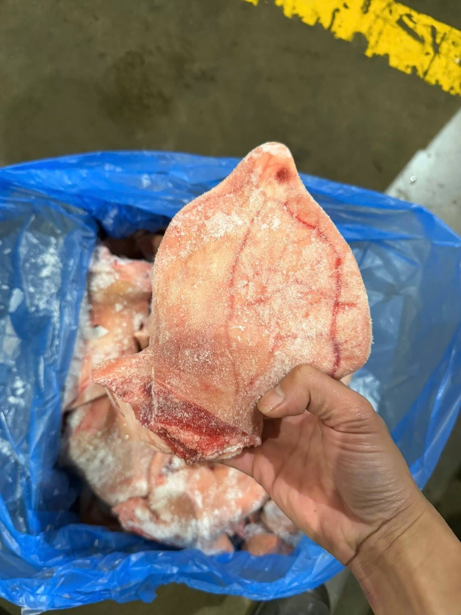 Tổng Kho Thịt Heo Bò Gà Hải Sản Đông Lạnh Tại Tuyên Quang | Giá Sỉ Tận Kho