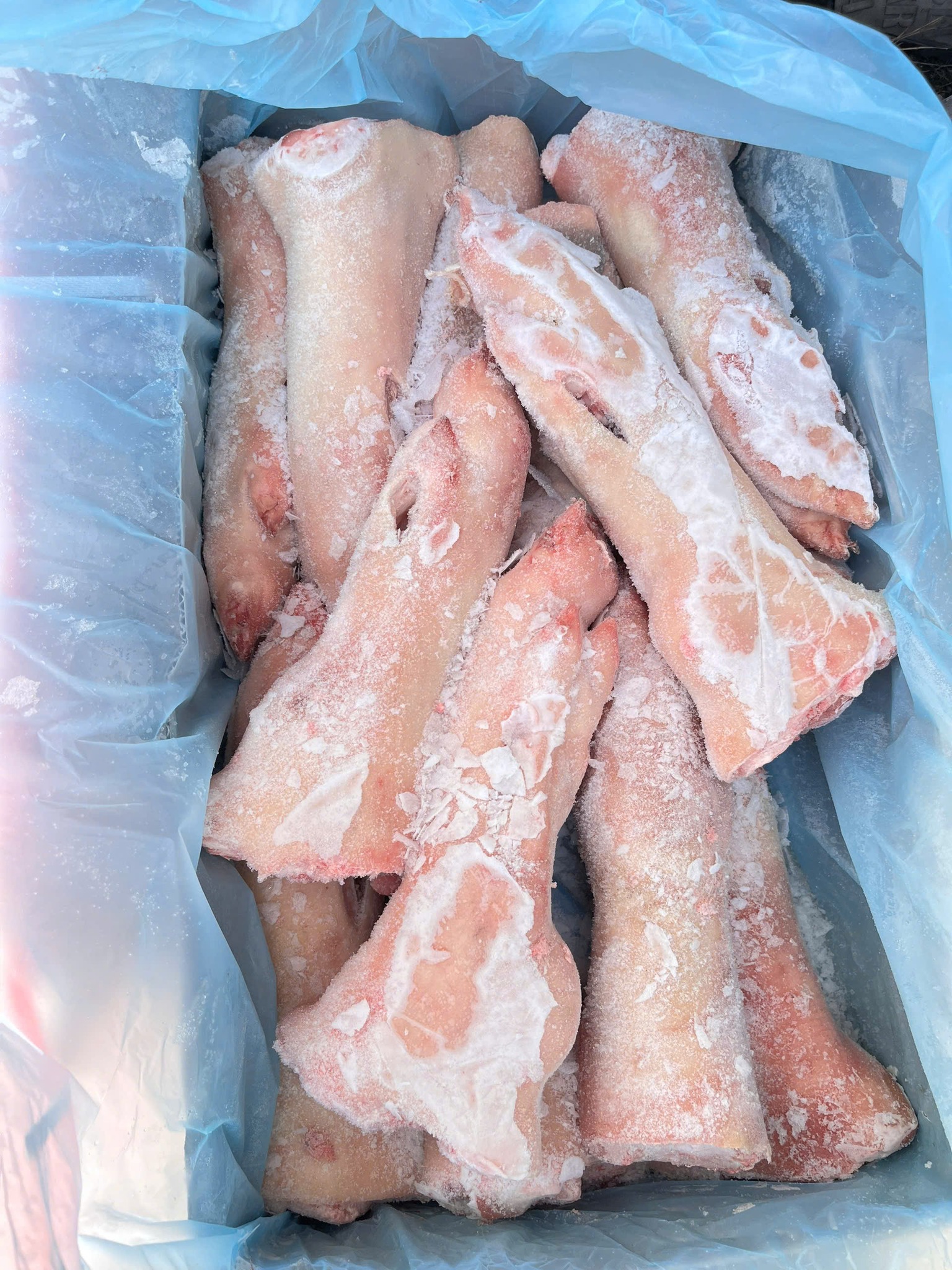 Tổng Kho Thịt Heo Bò Gà Hải Sản Đông Lạnh Tại Kon Tum | Giá Sỉ Tận Kho