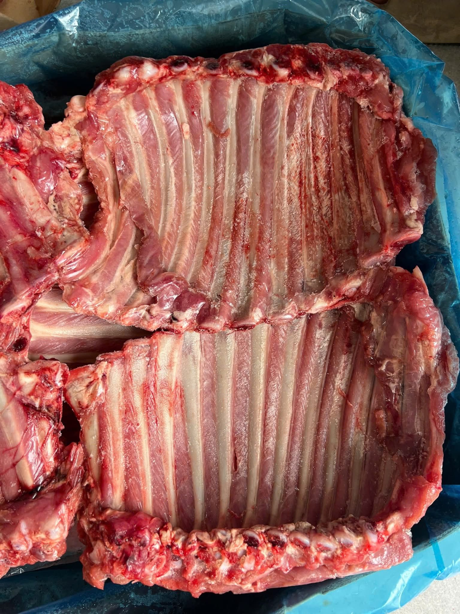 Tổng Kho Thịt Heo Bò Gà Hải Sản Đông Lạnh Tại Thanh Hóa | Giá Sỉ Tận Kho