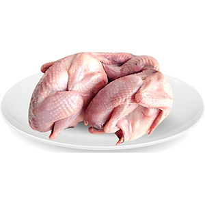 Chim bồ câu ta làm sạch 300-400 gr/con