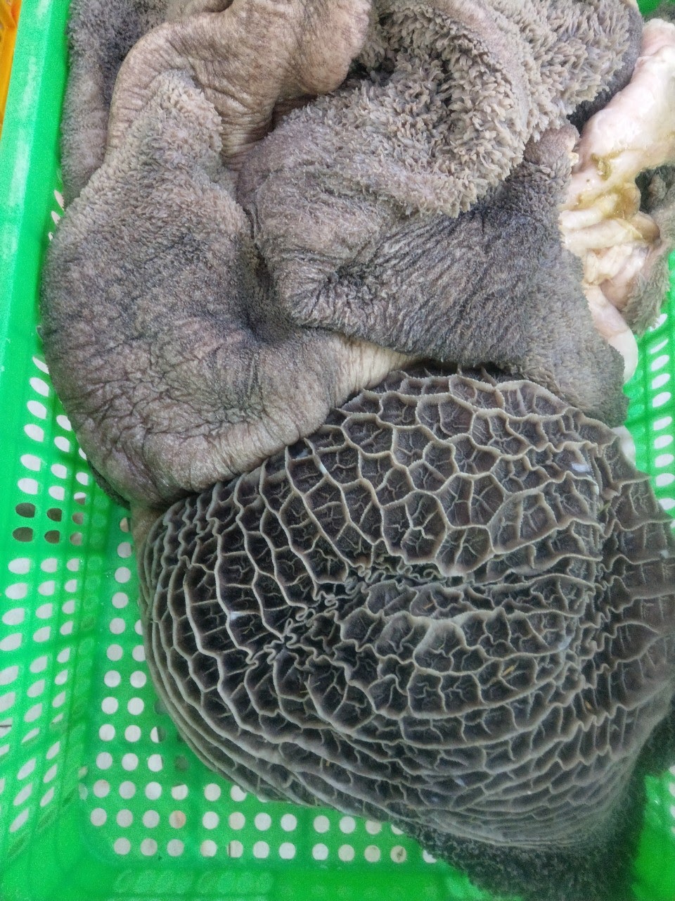 Tổ ong đen bò tươi