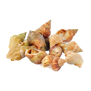 Ốc Bulot Pháp đông lạnh