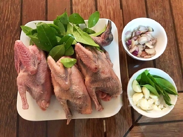 Địa Chỉ Bán Bồ Câu Thịt Quận 5 Uy Tín, Giá Tốt