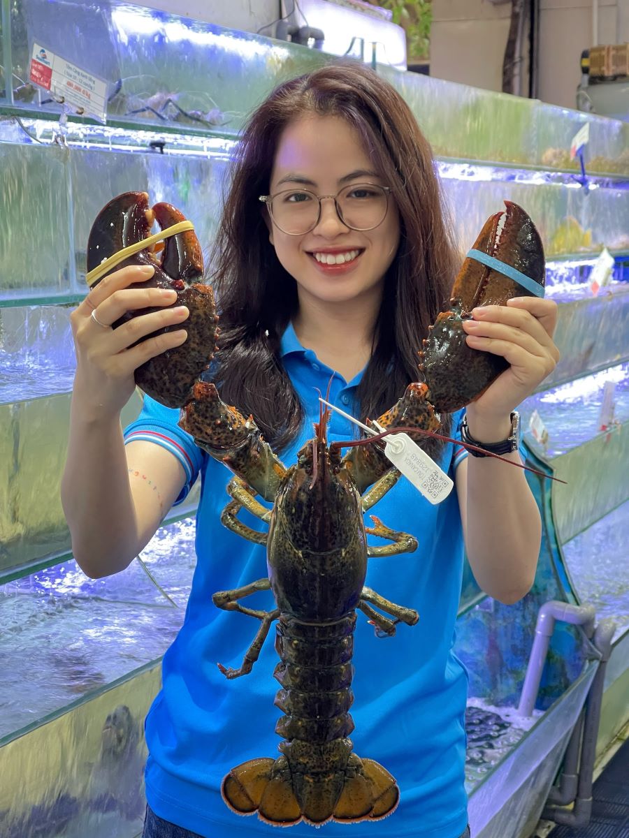 Tôm hùm Alaska (1–3 kg /con)