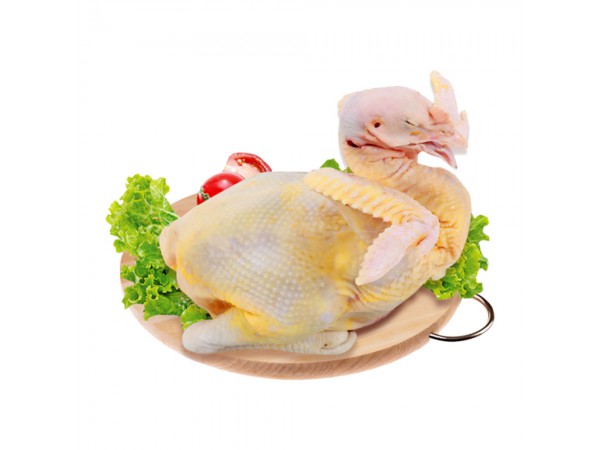 Bán Gà Vịt Tươi Sống Quận 5