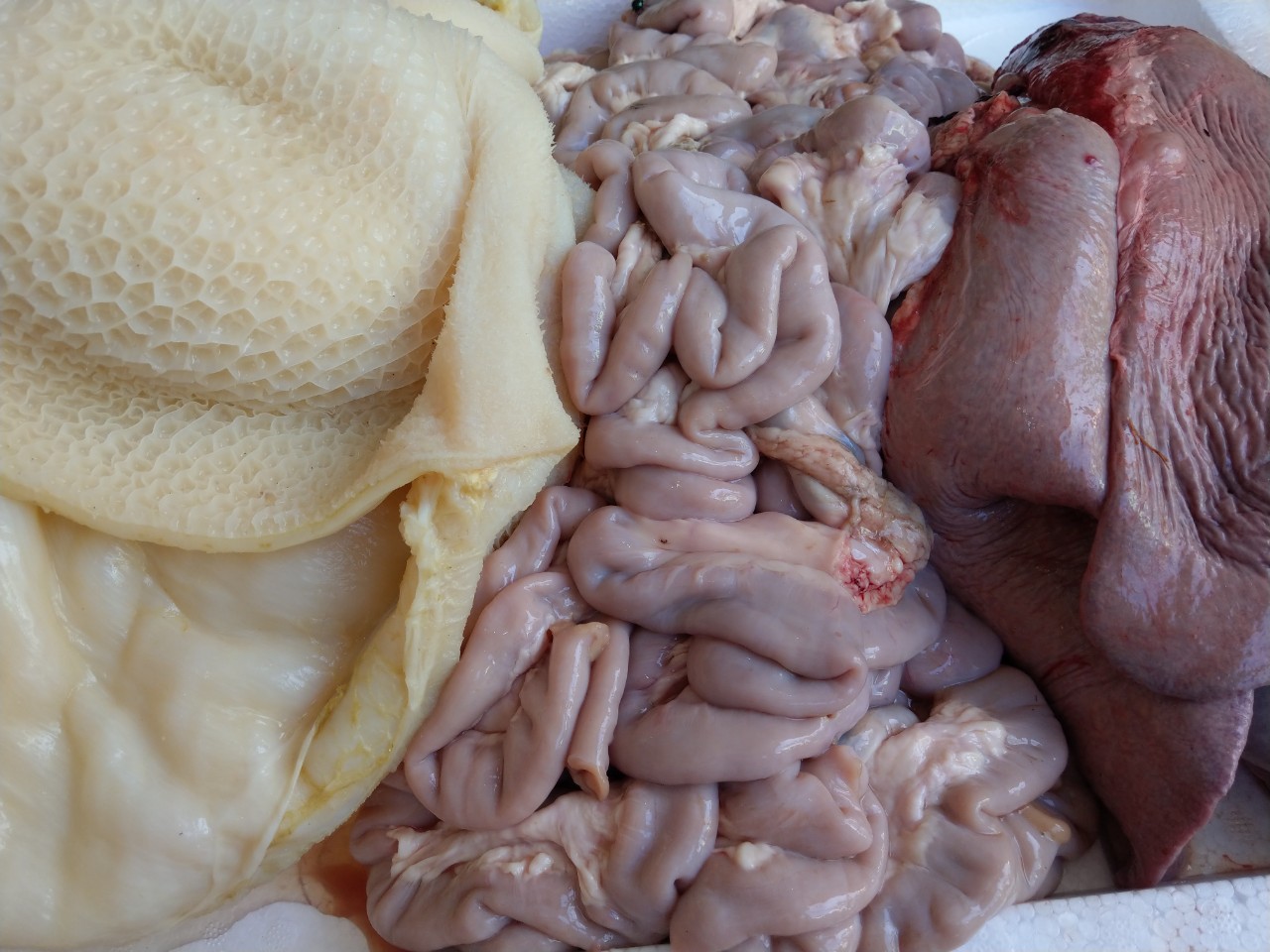 Bán Lòng Bò Giá Sỉ Tại Quận 3