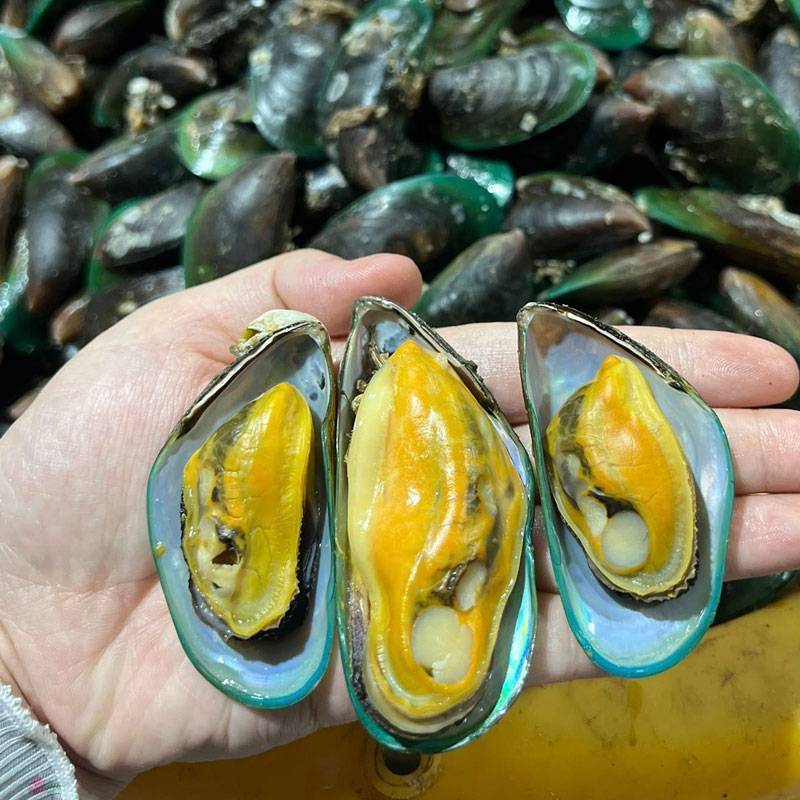 Vẹm Xanh Tươi Sống