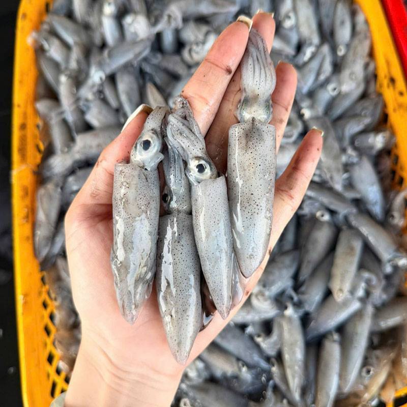 Vựa Hải Sản Tươi Sống Tại Quận 6 | Giá Tốt Mỗi Ngày