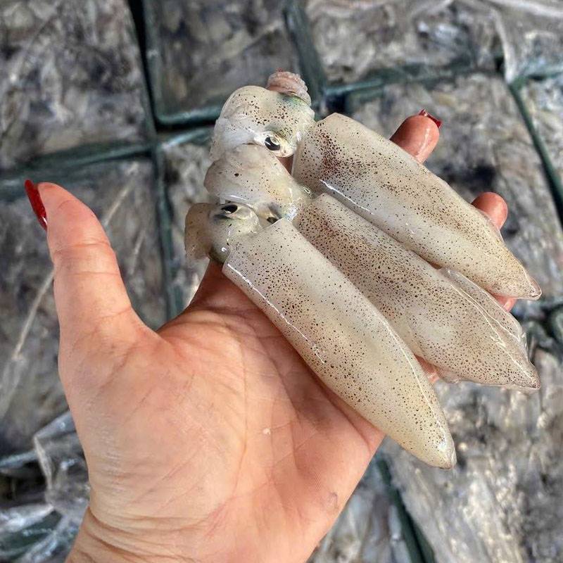 Vựa Hải Sản Tươi Sống Tại Củ Chi | Giá Tốt – Giao Nhanh