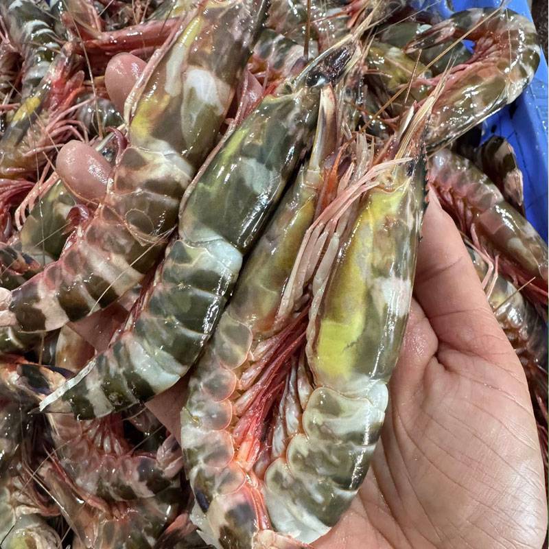 Vựa Hải Sản Tươi Sống Tại Bình Chánh