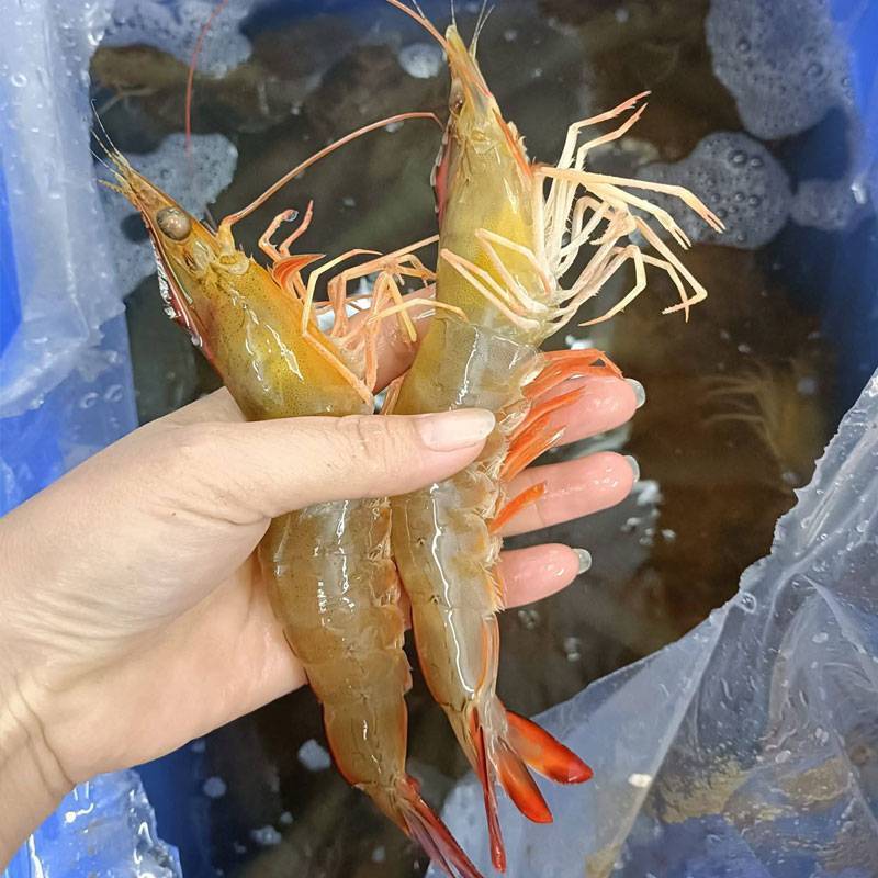 Vựa Hải Sản Tươi Sống Tại Quận Phú Nhuận