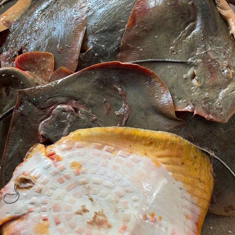 Vựa Hải Sản Tươi Sống Tại Nhà Bè