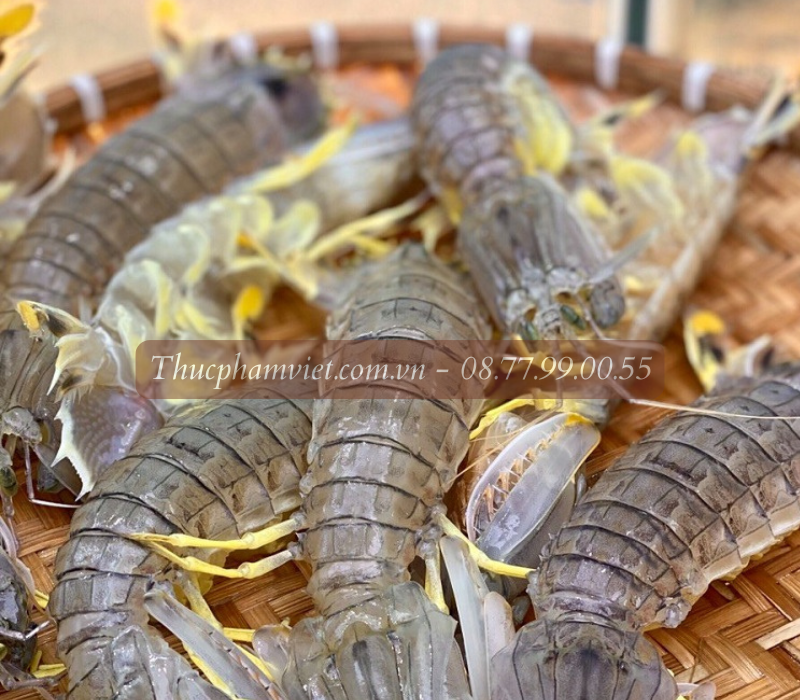 Tôm tít (bề bề) giá sỉ TPHCM