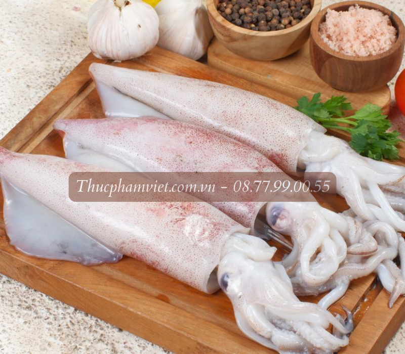 Mực ống giá sỉ TPHCM