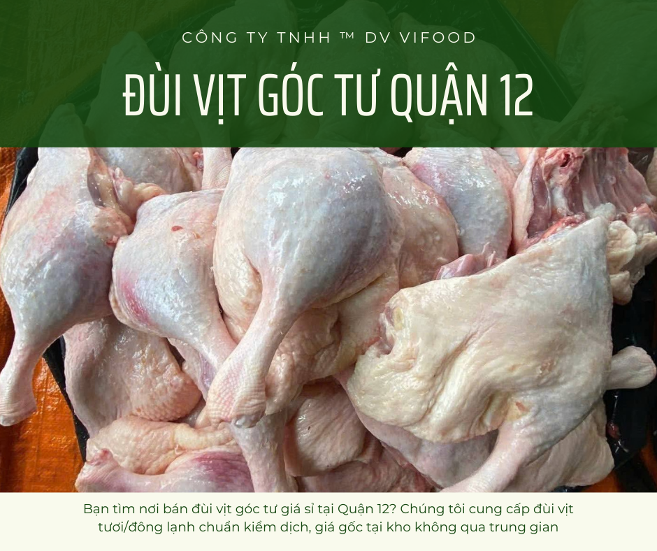 dui vit goc tu dong lanh quan 12