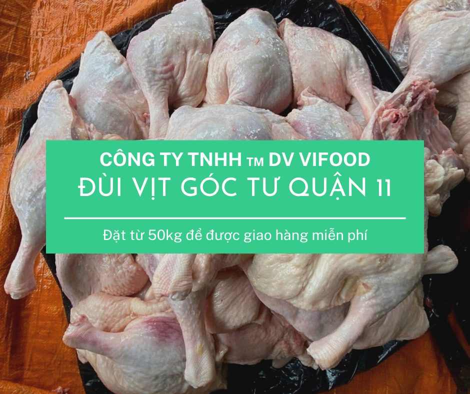 dui vit goc tu dong lanh quan 11