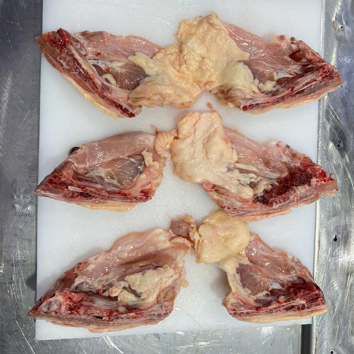 Xương Má Ức Gà Đông Lạnh