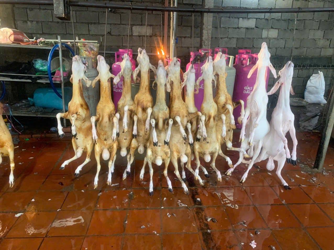 Thịt Dê Tươi Mới