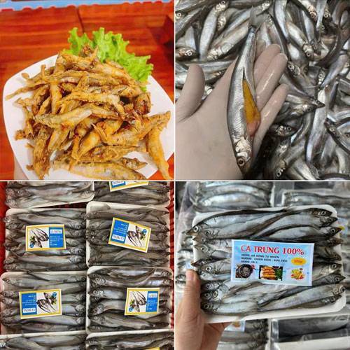 Cá Trứng Full Trứng Đông Lạnh