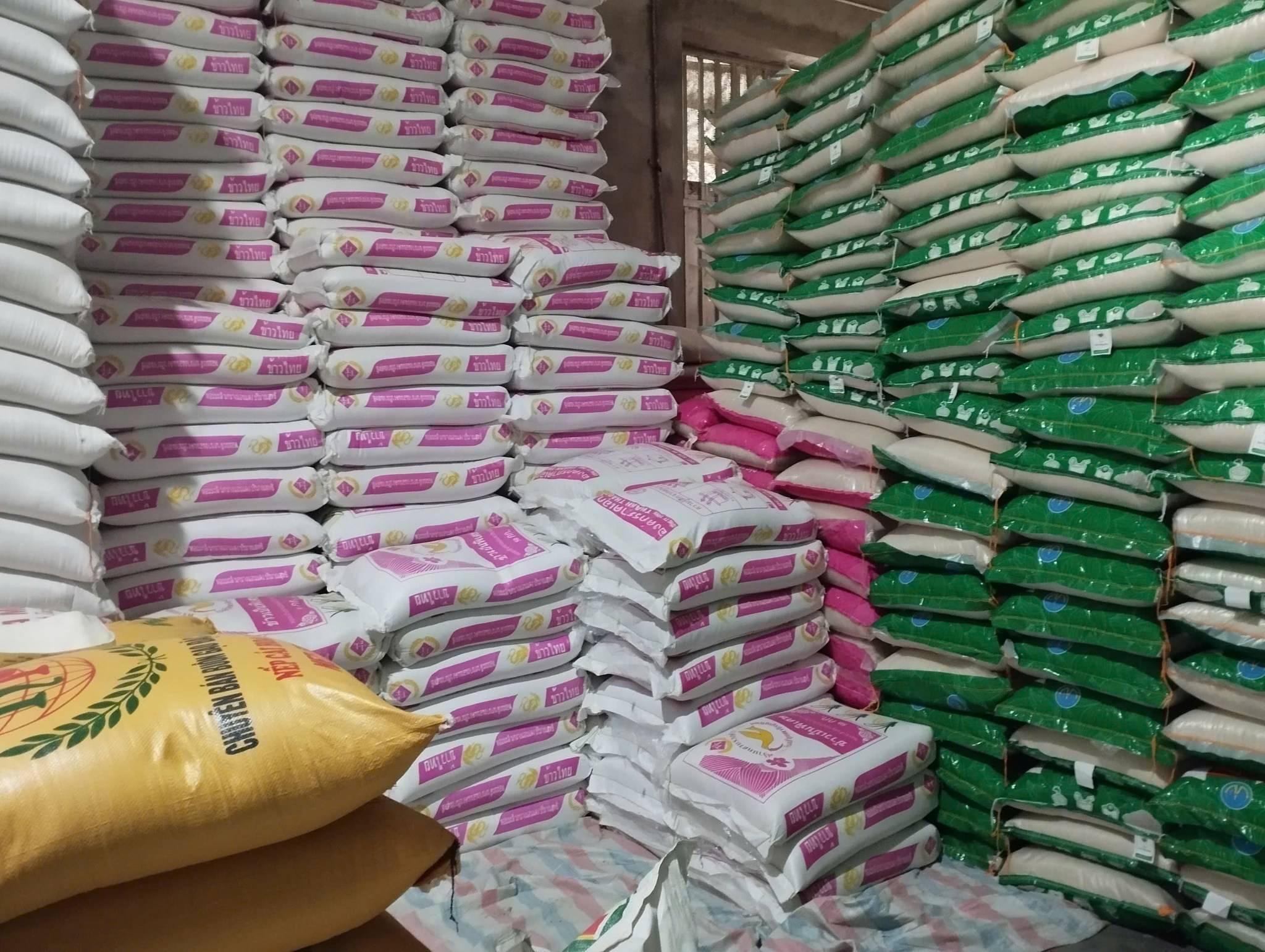 Đại Lý Gạo Phường An Xuyên Cà Mau | Gạo Ngon Giá Sỉ & Lẻ Uy Tín