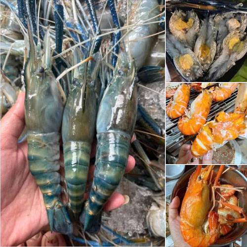 Tôm Càng Xanh Đà Nẵng