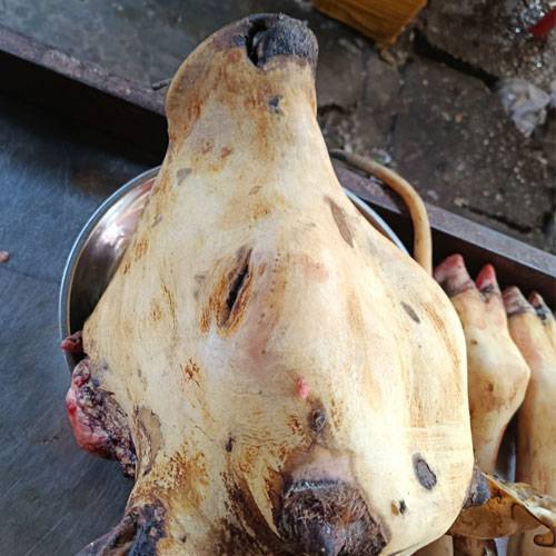 Đầu Bò Nguyên Cái