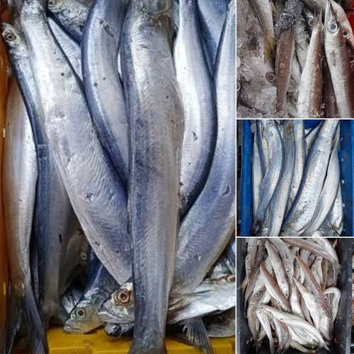 Vựa Hải Sản Gò Vấp Giá Sỉ