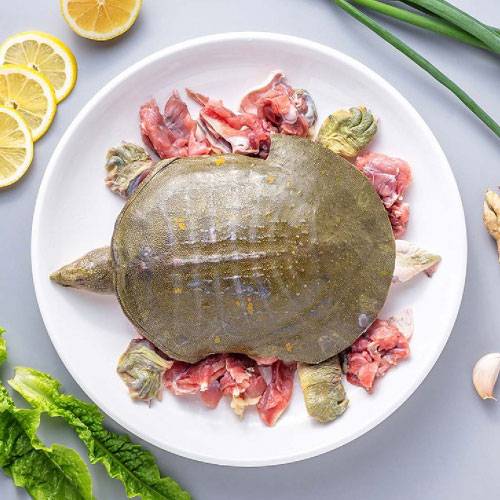 Mua Ba Ba Thịt Tại TP.HCM