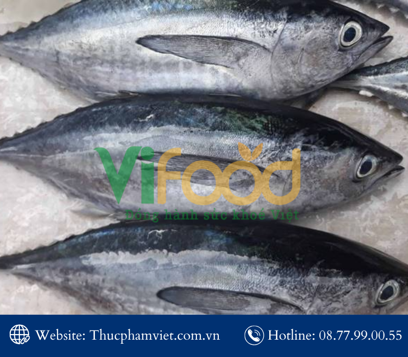 Cung cấp hải sản đông lạnh giá sỉ Phường Bình Đông