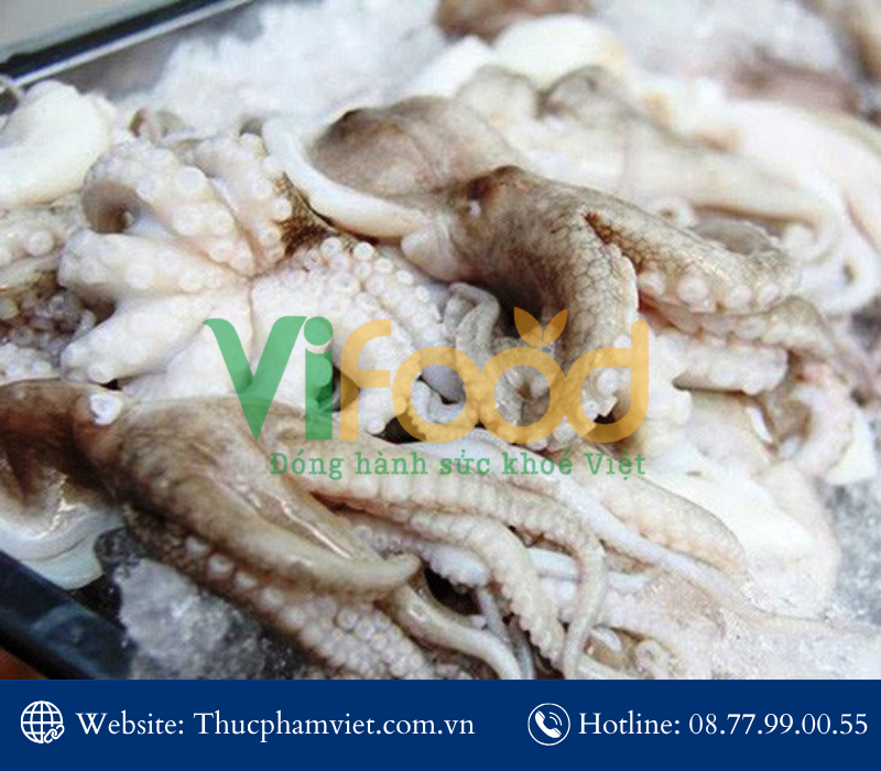 Tổng kho hải sản đông lạnh giá sỉ tại Phường Vườn Lài