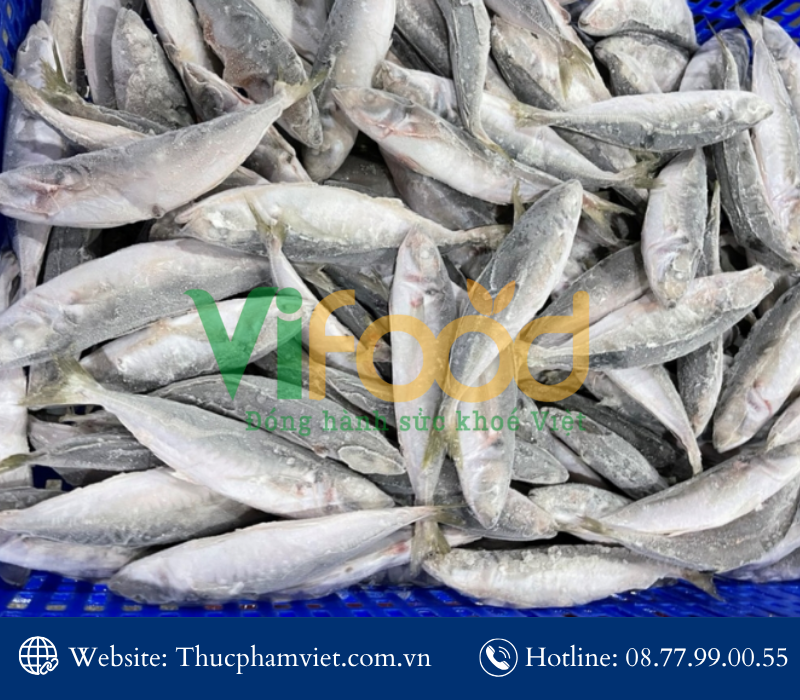 Mua hải sản đông lạnh giá sỉ tại Phường Thới An