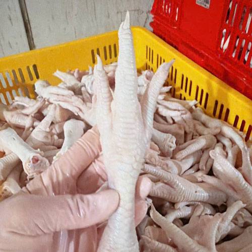 chân gà đông lạnh giá sỉ