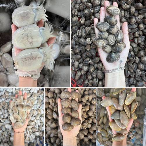 giá hải sản chợ bình điền hôm nay