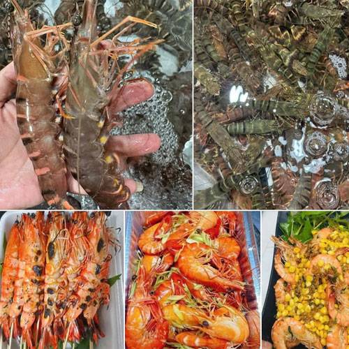 Giá Tôm Chợ Bình Điền Hôm Nay