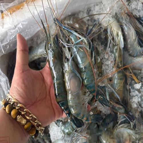 Hải Sản Chợ Bình Điền