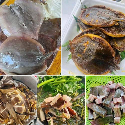 Giá Cá Đuối Tươi Hôm Nay