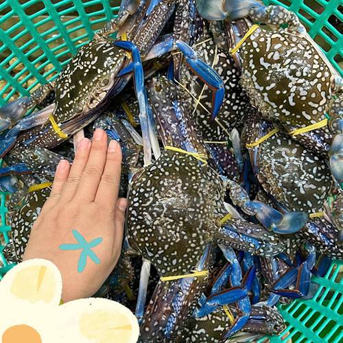 Giá Ghẹ Chợ Bình Điền Hôm Nay