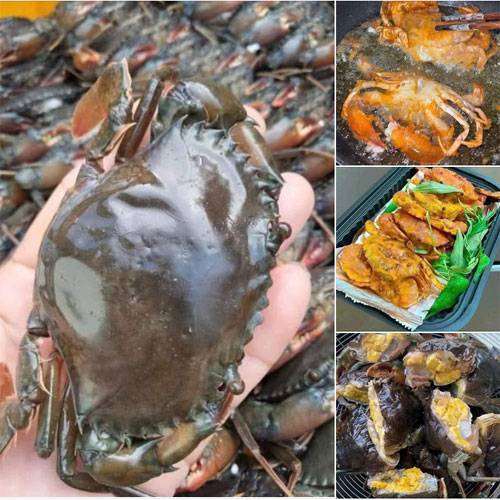 Mua Cua Lột Tươi Ngon