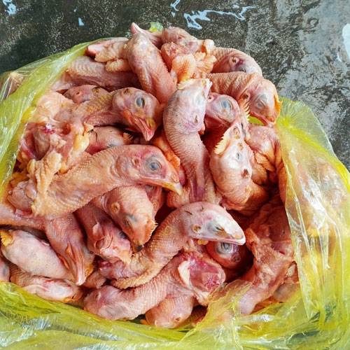 Đầu Gà Đông Lạnh Giá Sỉ