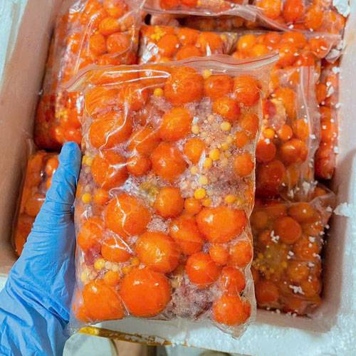 Mua Trứng Gà Non Ở Đâu